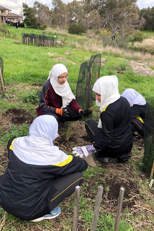 Maserati Park Planting Activity