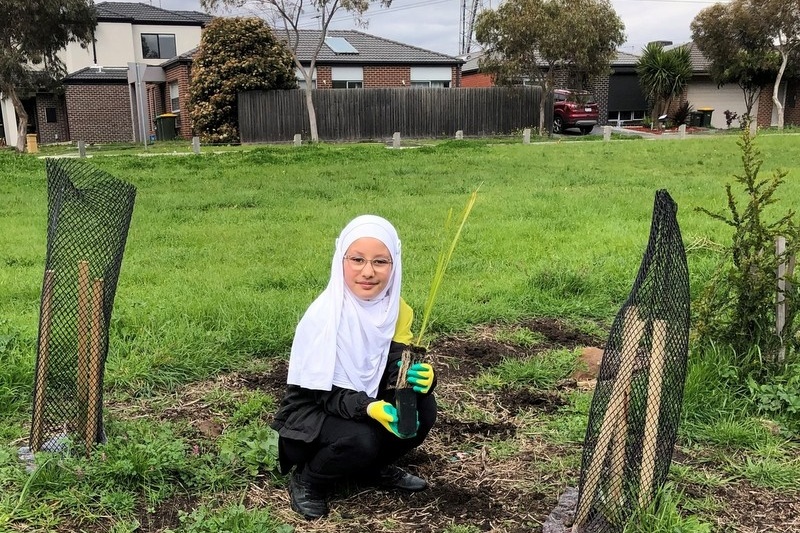 Maserati Park Planting Activity