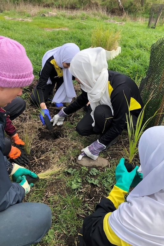 Maserati Park Planting Activity