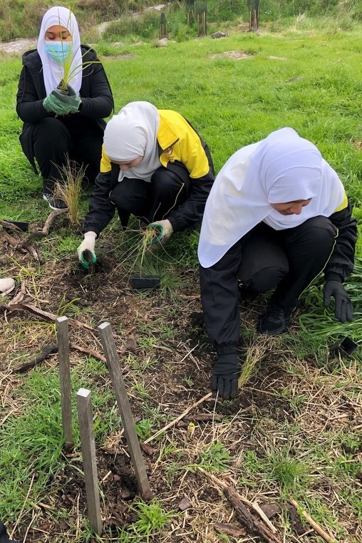 Maserati Park Planting Activity