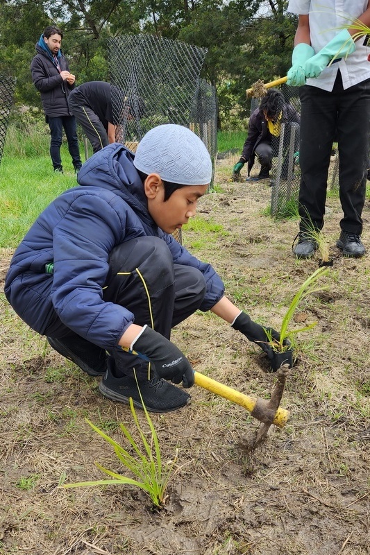 Maserati Park Planting Activity