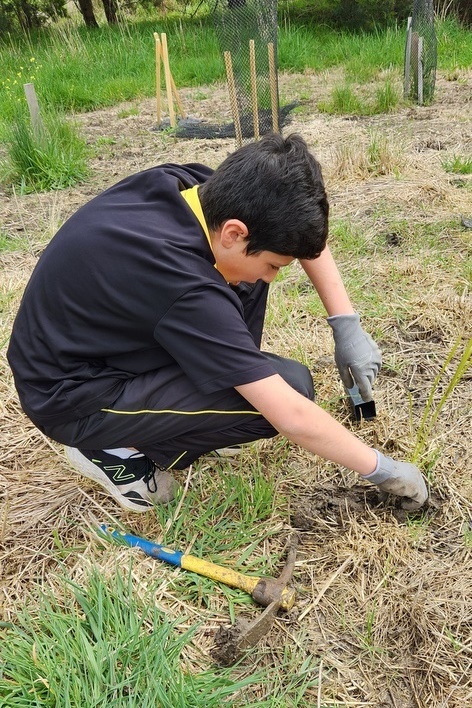 Maserati Park Planting Activity