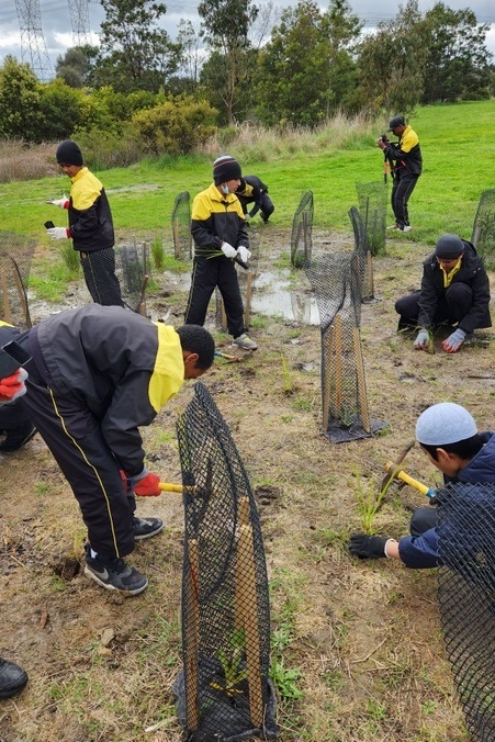 Maserati Park Planting Activity