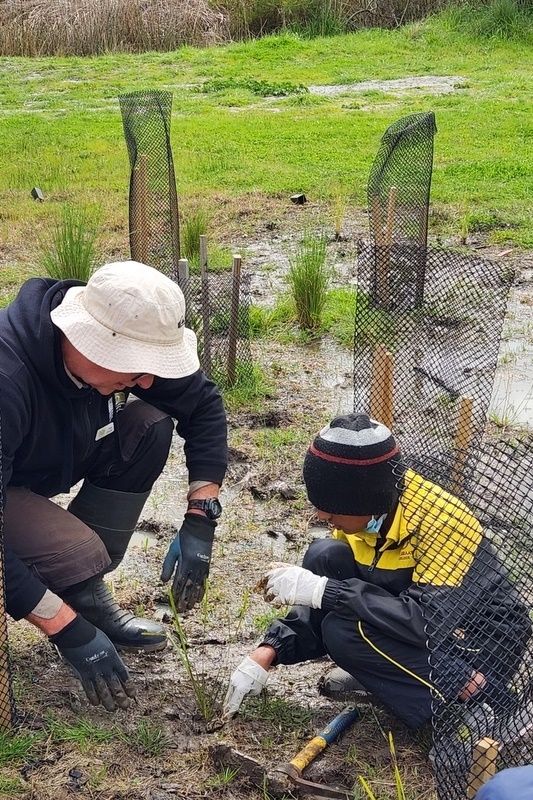 Maserati Park Planting Activity