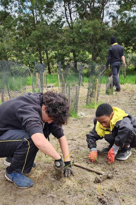 Maserati Park Planting Activity