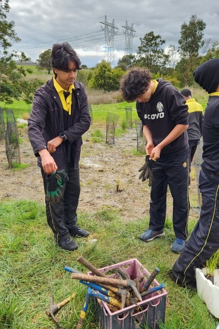 Maserati Park Planting Activity