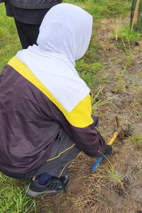 Maserati Park Planting Activity