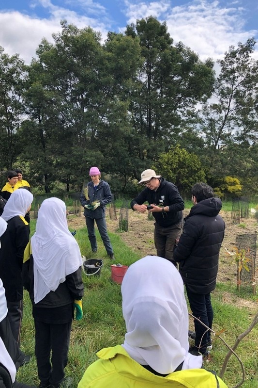 Maserati Park Planting Activity