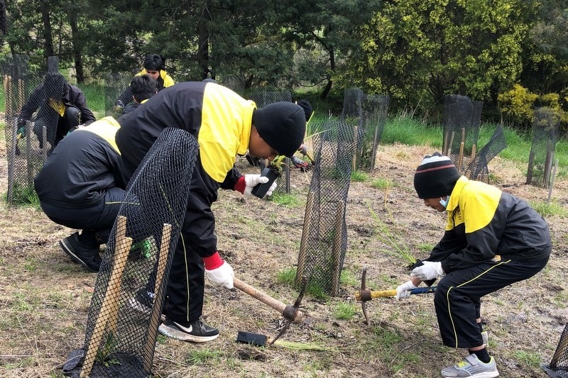 Maserati Park Planting Activity