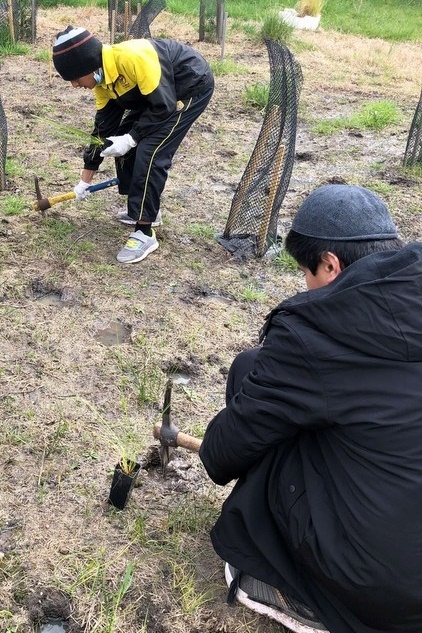 Maserati Park Planting Activity