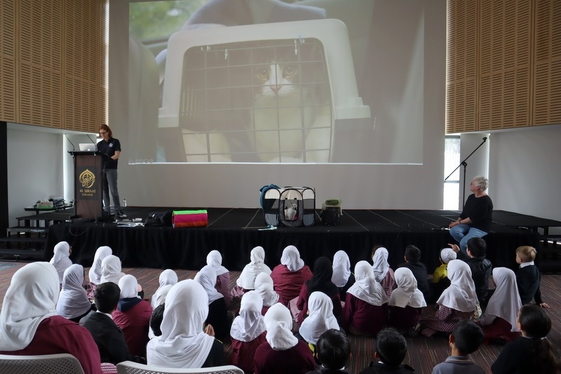 Lunchtime Club: Cat Ownership