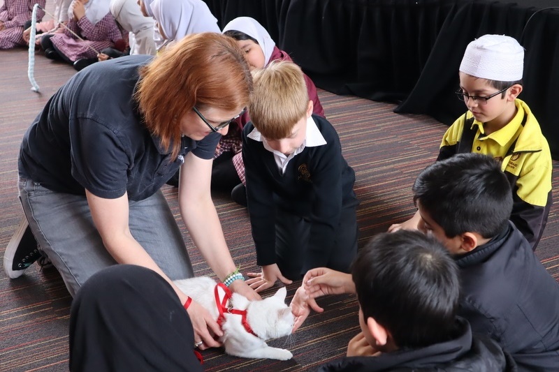 Lunchtime Club: Cat Ownership