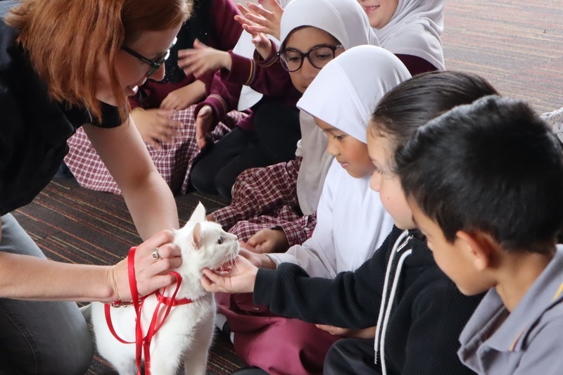 Lunchtime Club: Cat Ownership