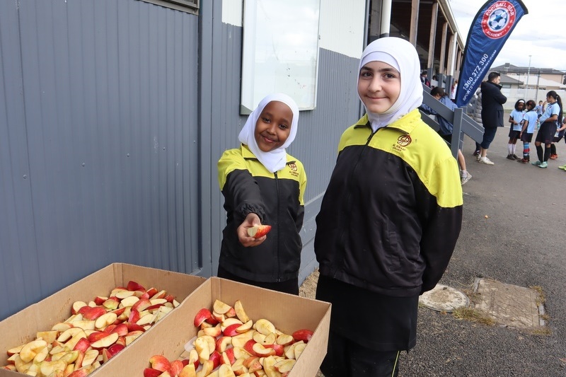 Soccer Gala Day