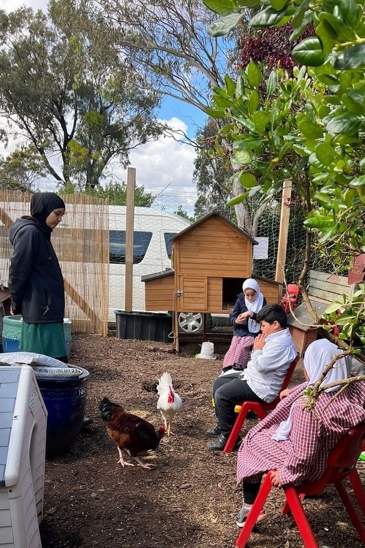 Year 2 Farm Incursion