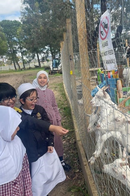 Year 2 Farm Incursion