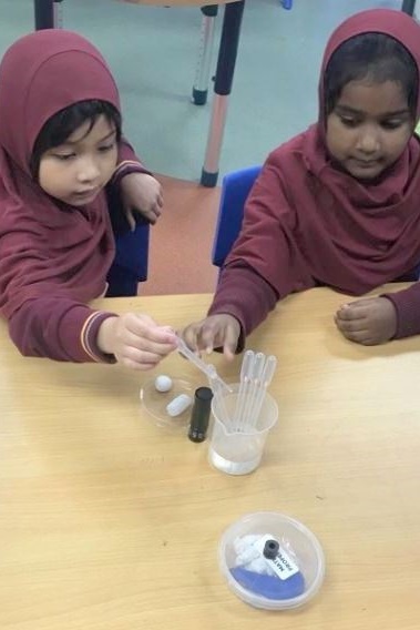 Foundation Science Incursion