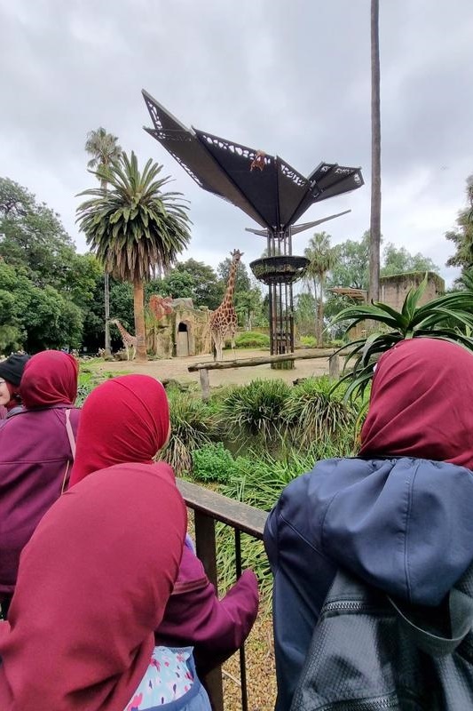 Year 5G: Melbourne Zoo Excursion