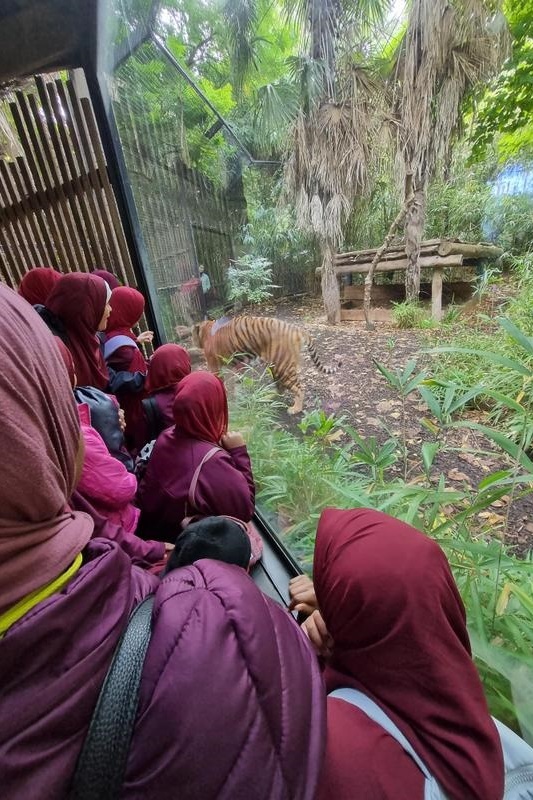 Year 5G: Melbourne Zoo Excursion