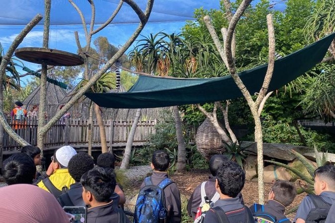 Year 5 Boys Excursion: Melbourne Zoo