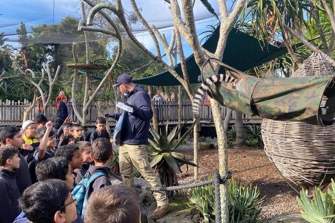 Year 5 Boys Excursion: Melbourne Zoo