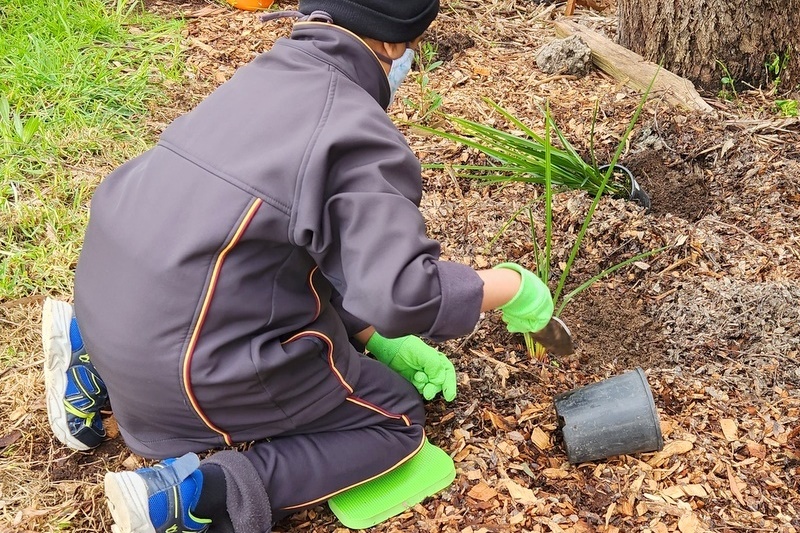 Environmental Student Leadership: Lalor Landcare