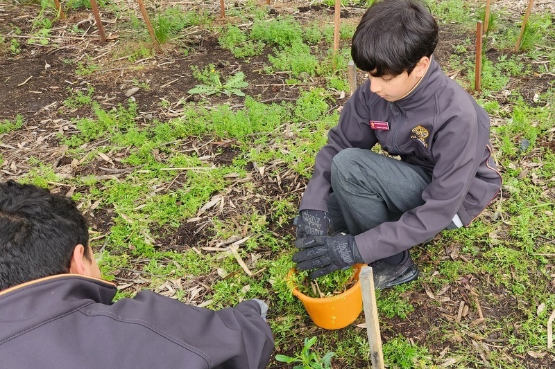 Environmental Student Leadership: Lalor Landcare