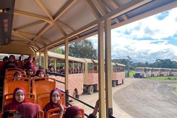 Year 4 Excursion: Werribee Zoo Safari