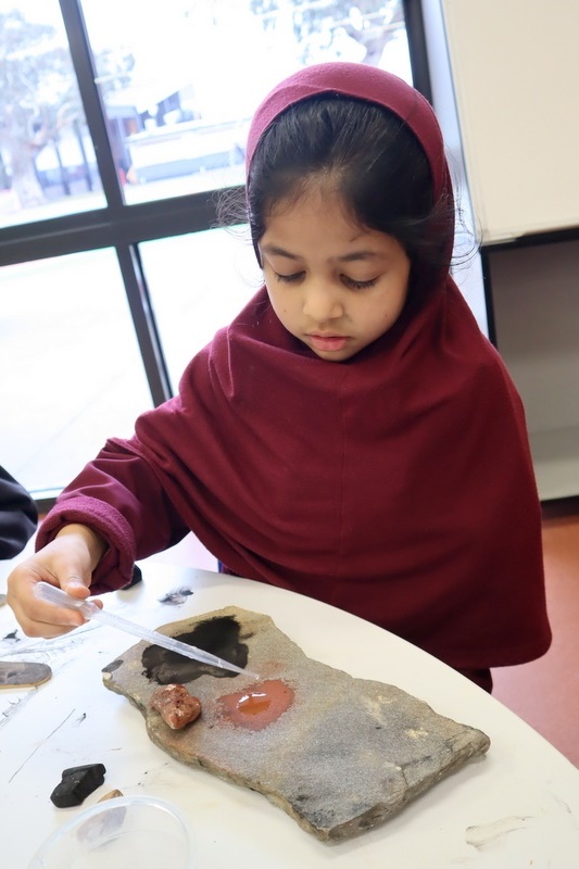 NAIDOC Week: Foundation Aboriginal Art Incursion