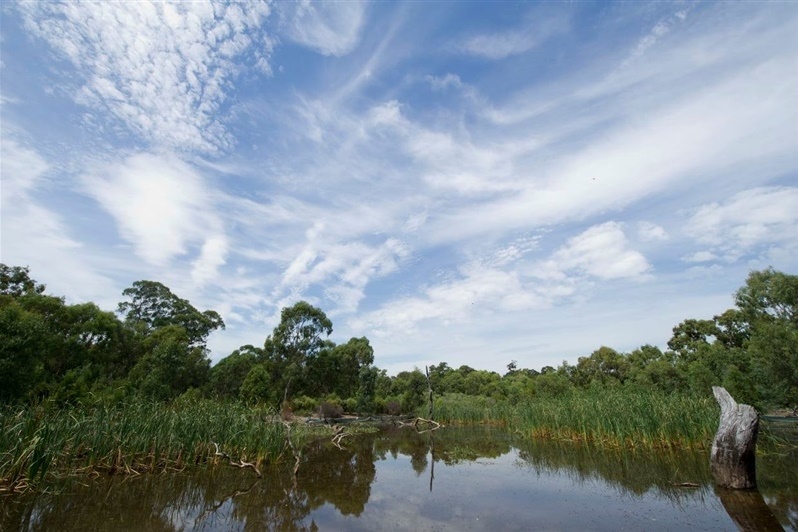 Year 6G Excursion: Wildlife Sanctuary