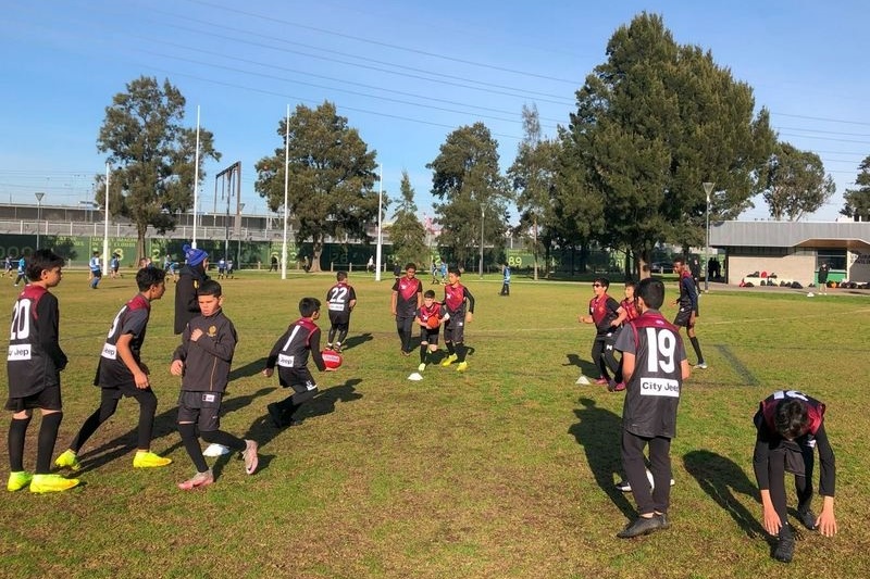 Bachar Houli Cup Final Results