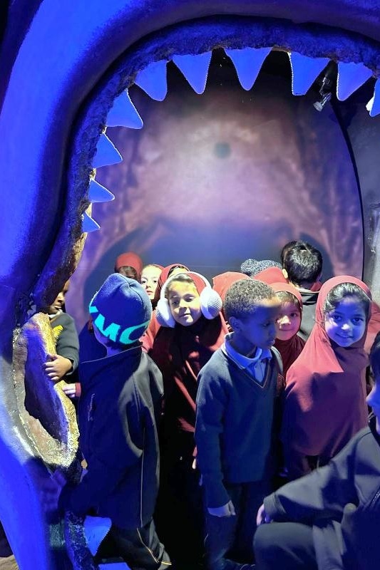 Foundation Excursion: SEA LIFE Melbourne Aquarium