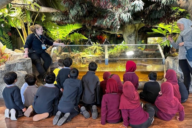 Foundation Excursion: SEA LIFE Melbourne Aquarium