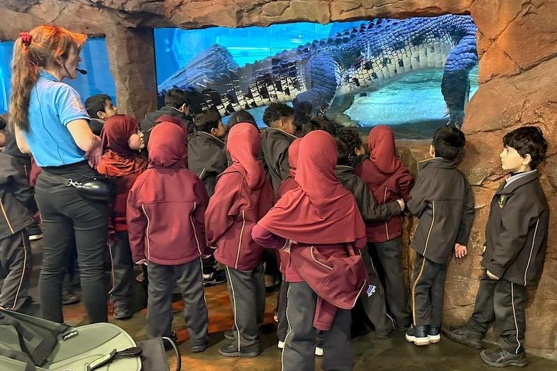 Foundation Excursion: SEA LIFE Melbourne Aquarium