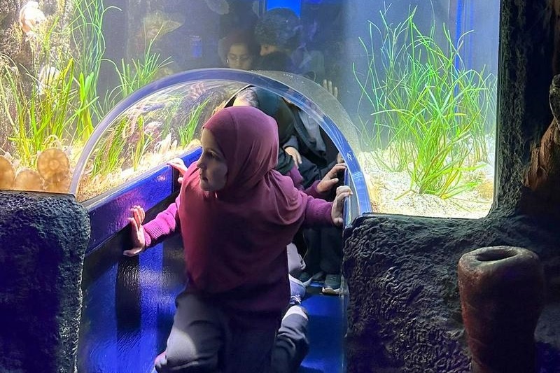 Foundation Excursion: SEA LIFE Melbourne Aquarium