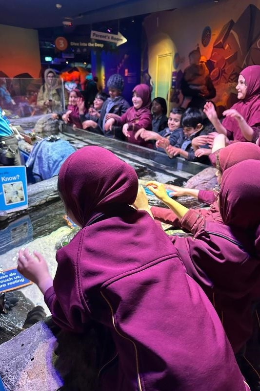 Foundation Excursion: SEA LIFE Melbourne Aquarium