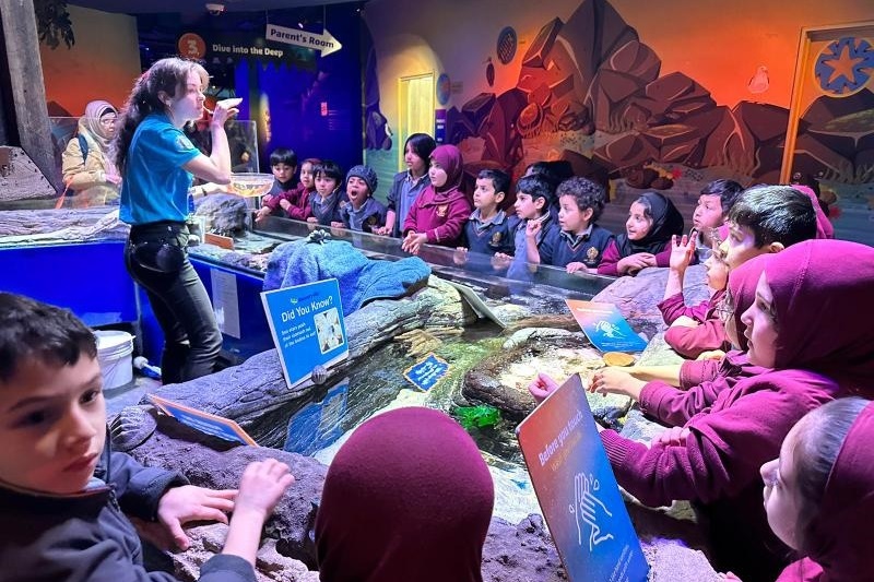 Foundation Excursion: SEA LIFE Melbourne Aquarium