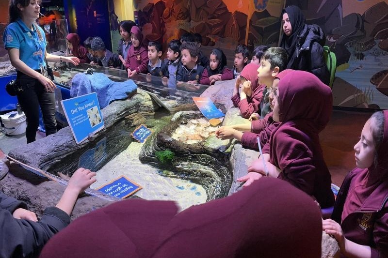 Foundation Excursion: SEA LIFE Melbourne Aquarium