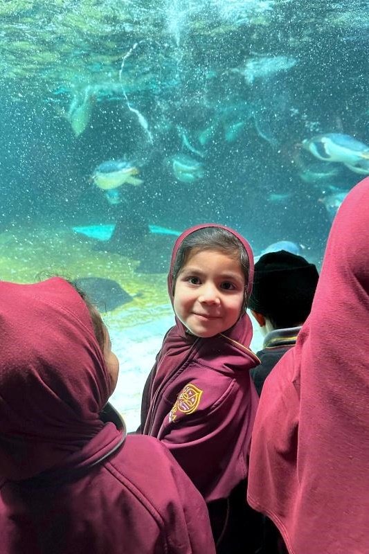 Foundation Excursion: SEA LIFE Melbourne Aquarium