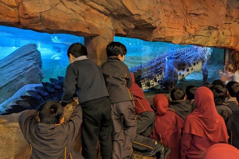 Foundation Excursion: SEA LIFE Melbourne Aquarium