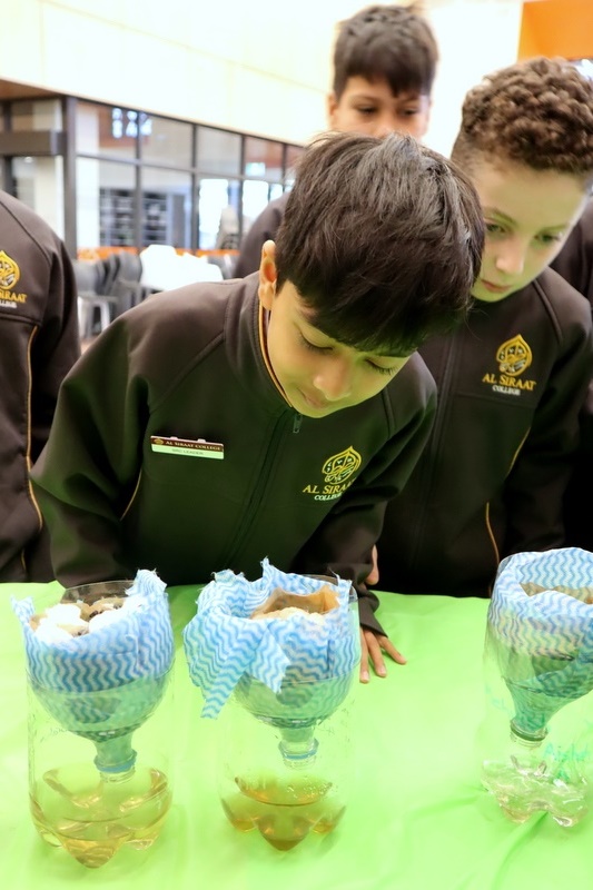 Primary Science Week: Igniting Young Innovators