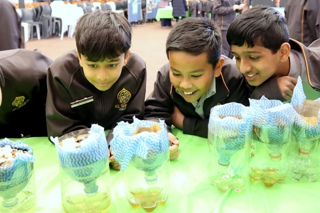 Primary Science Week: Igniting Young Innovators