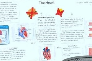 Celebrating Science Week in Secondary