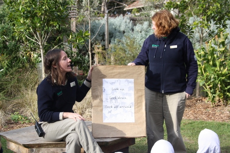 Foundation Excursion to Melbourne Zoo