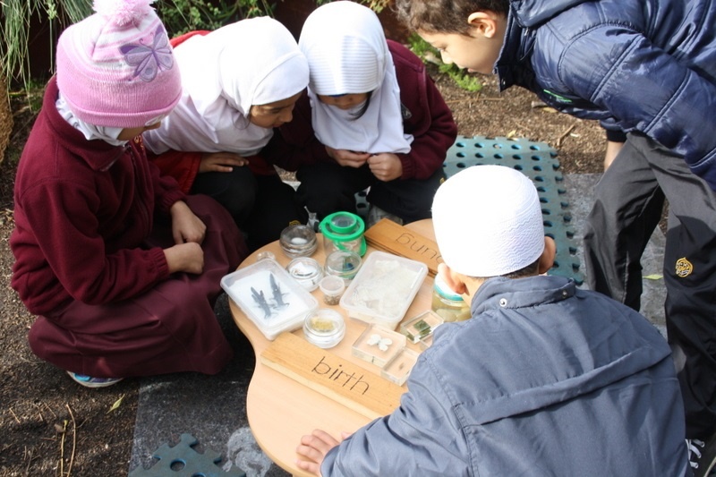 Foundation Excursion to Melbourne Zoo