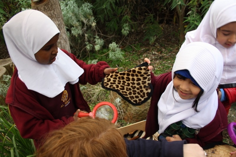 Foundation Excursion to Melbourne Zoo