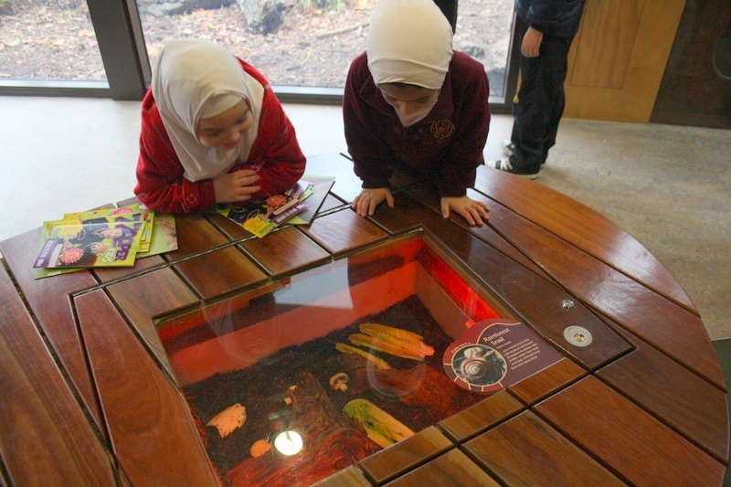 Foundation Excursion to Melbourne Zoo