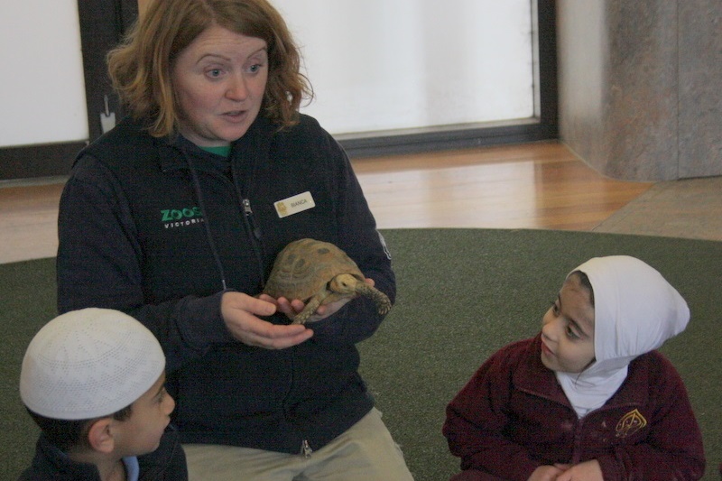 Foundation Excursion to Melbourne Zoo