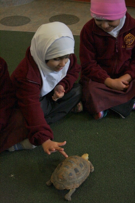 Foundation Excursion to Melbourne Zoo