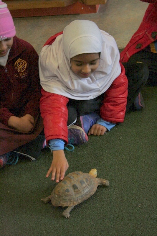 Foundation Excursion to Melbourne Zoo